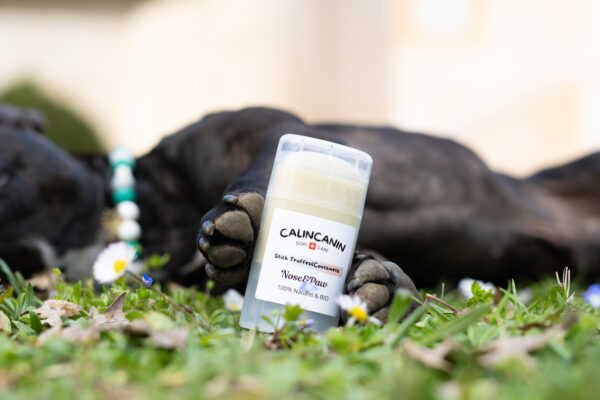 Nose&Paw : Soins complet pour truffes & coussinets