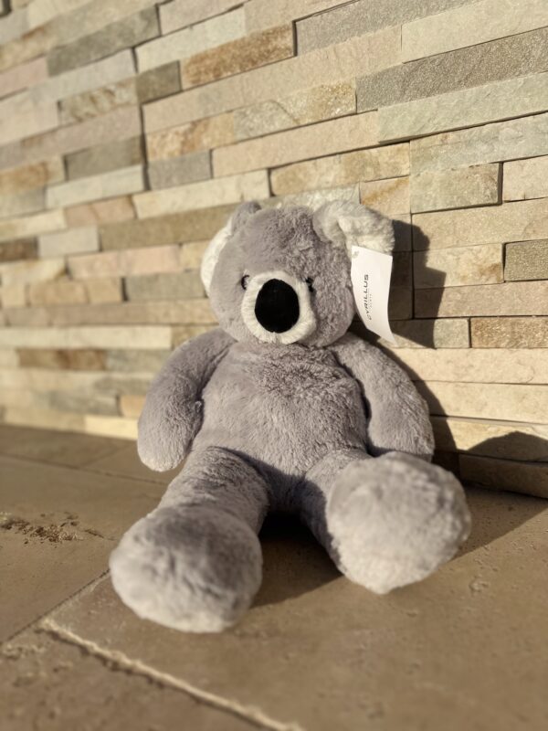 🧸Peluche Réconfortante