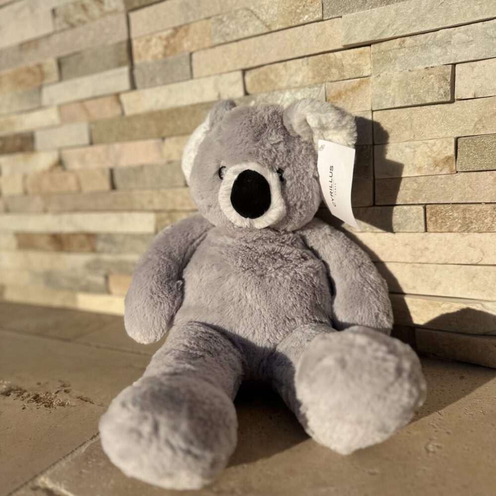 🧸Peluche Réconfortante