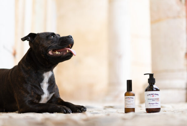 Box SkinCare