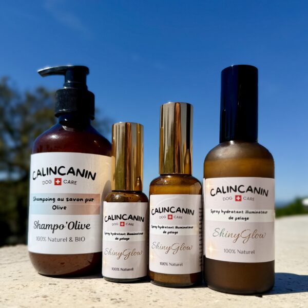 🫧Box SkinCare ✨ : shampoing et ShinyGlow – Image 2