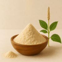 psyllium blond bio