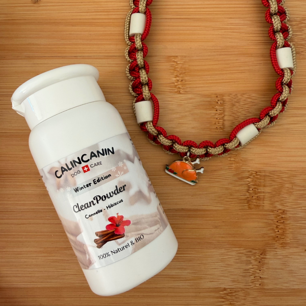 🎄Merry Woofmas : <br>Coffret de Noël