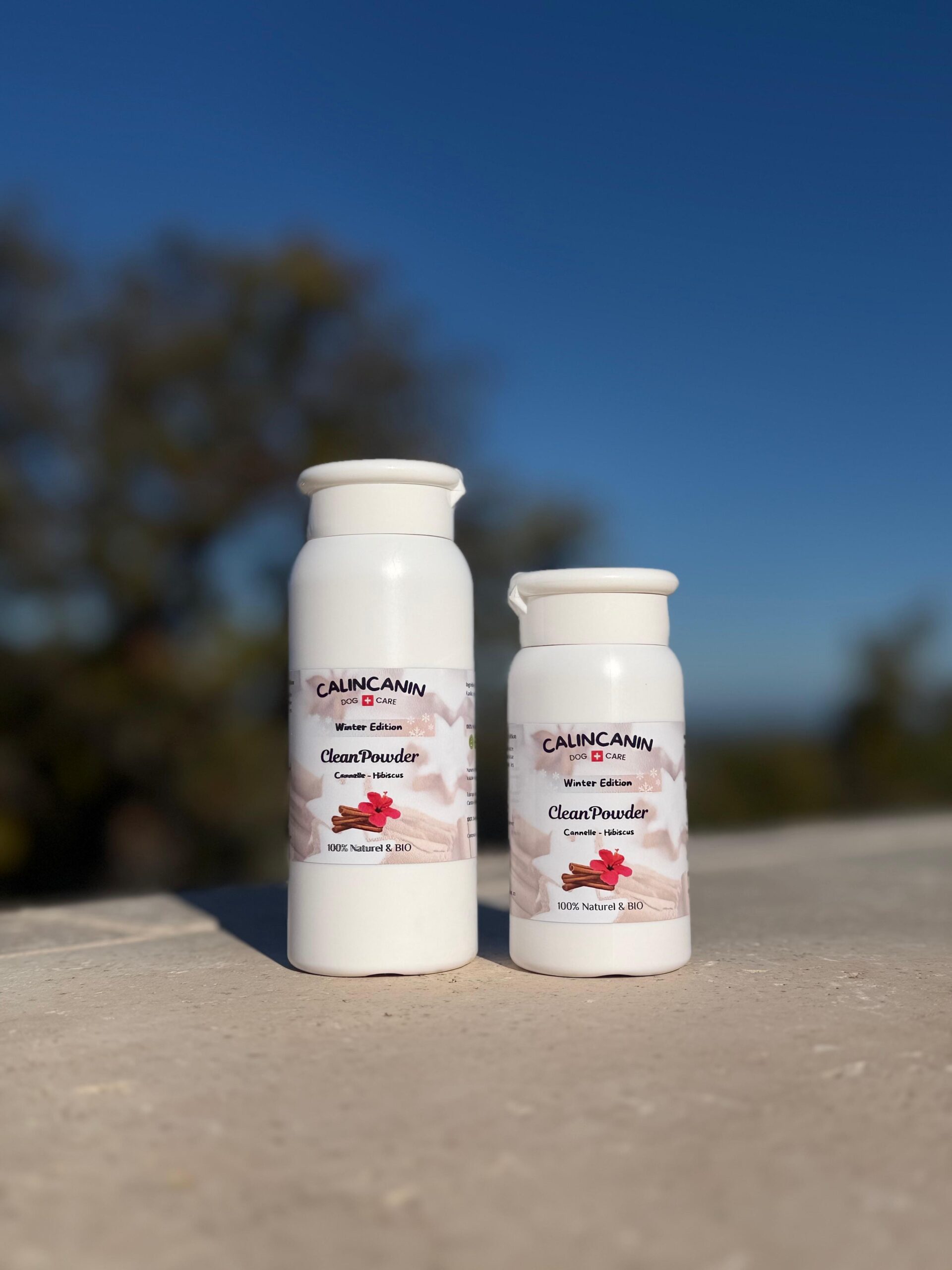 ❄ CleanPowder – Winter Edition Cannelle & Hibiscus (édition limitée)