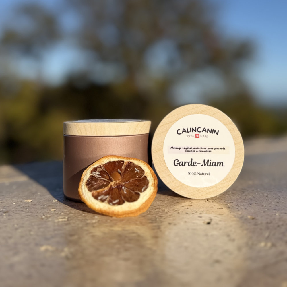 🍋Garde-Miam : <br>Protecteur de garde manger