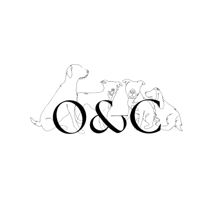 logo opium and compagnie partenaire