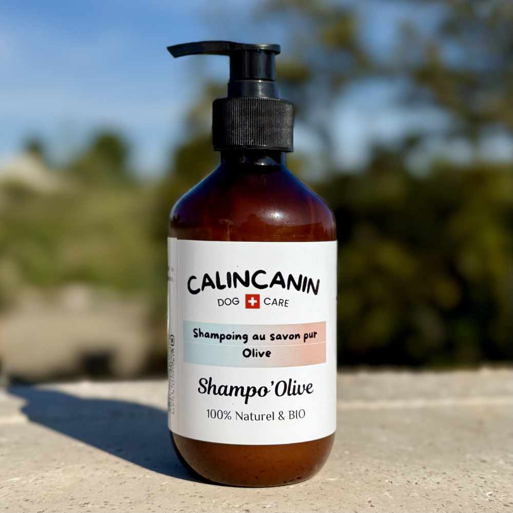 🫧Shampo'Olive : <br> Shampoing liquide spécial peaux sensibles