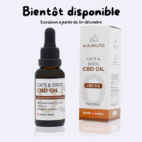 🪴CBD pour chiens et chats