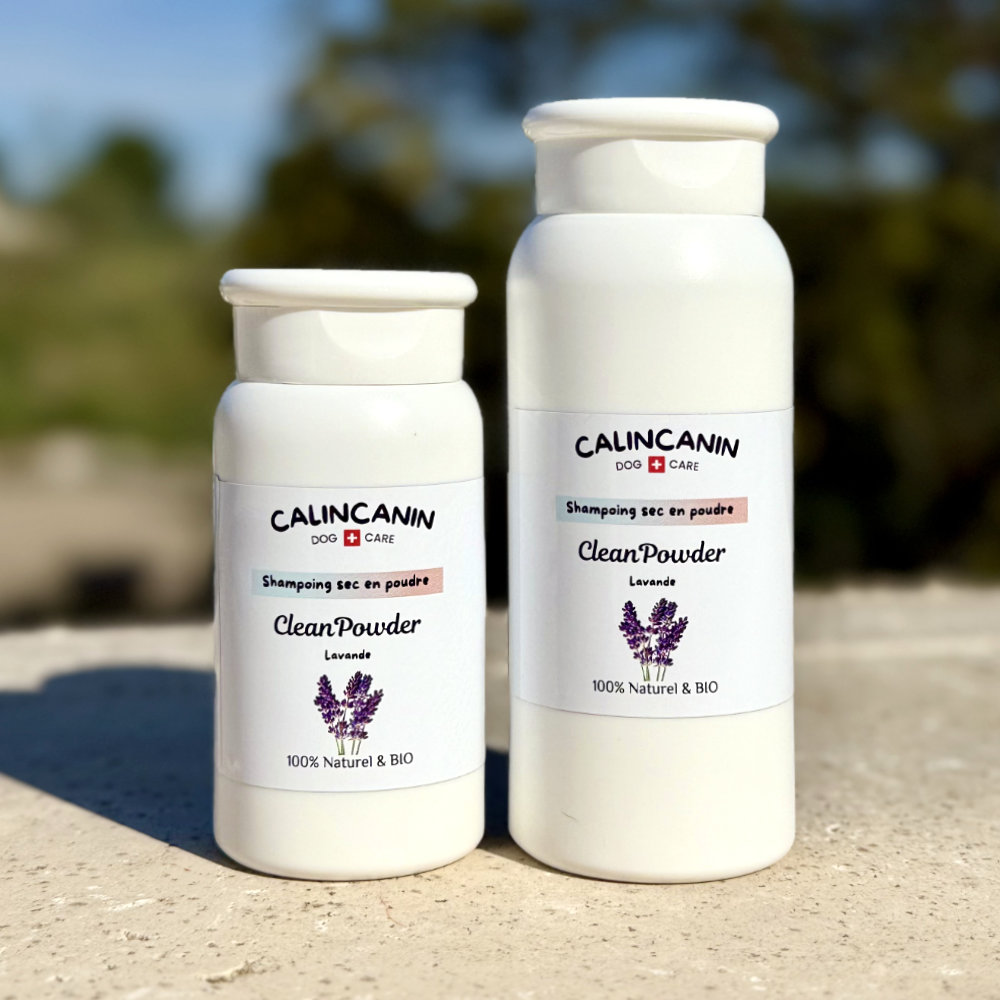 🪻CleanPowder : <br>Shampoing sec en poudre anti-parasites – Lavande