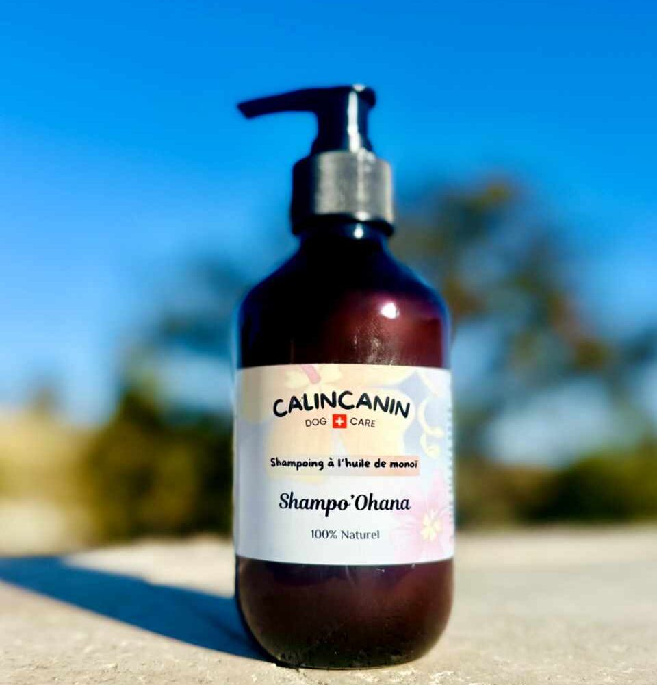🫧Shampo'Ohana : <br> Shampoing liquide au Monoï